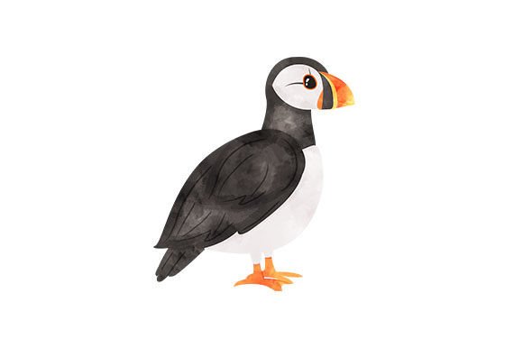 Puffin - Watercolor: A Charming Addition to Local Branding & Packaging Design